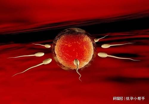 期需要注意什么呢？-优孕行米乐m6高龄女性备孕及孕